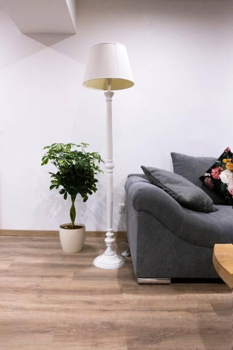 Apartament Le Logis D'Alsace, Wifi,Tv,Parking,70 M2 Ettendorf Zewnętrze zdjęcie